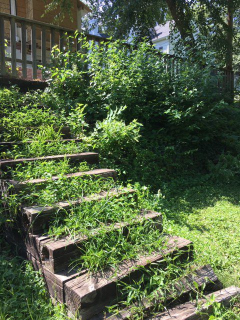 Out steps